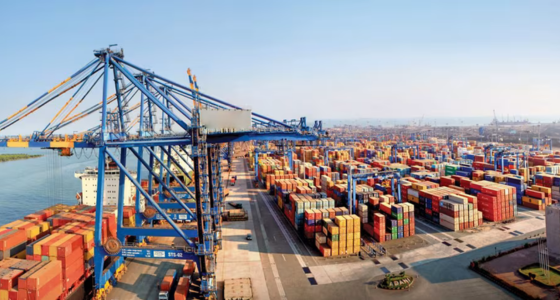 Port Connectivity